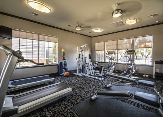 Exclusive Fitness Center with cardio machine and free weights