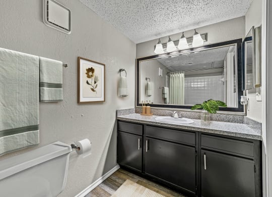 a bathroom with a sink and a mirror and a tub at Legacy Apartments in Plano, TX