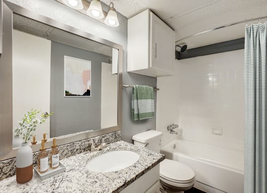 The View at Lake Highlands Apartments bathroom with sink and toilet