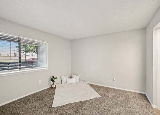 A room with a carpet, a rug, and a window with blinds.