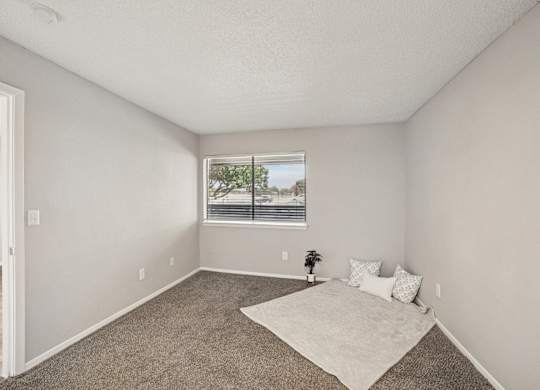 A room with a carpeted floor and a window with blinds.