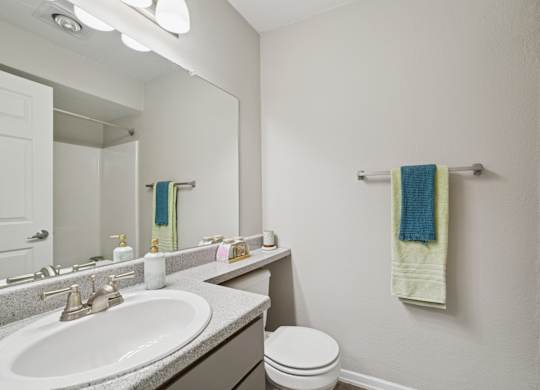 A bathroom with a white sink, toilet, and a mirror.