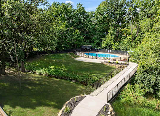 A pool surrounded by a green forest