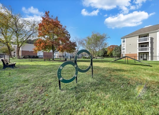 Dog Park at Trophy Club at Bellgrade, Midlothian, VA, 23113