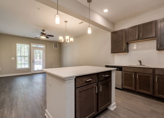 Kitchen & Living Room (Luxury Floor Plan) at Emerald Creek Apartments, Greenville