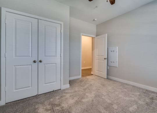 Bedroom with Closet Space (Luxury Floor Plan) at Emerald Creek Apartments, Greenville