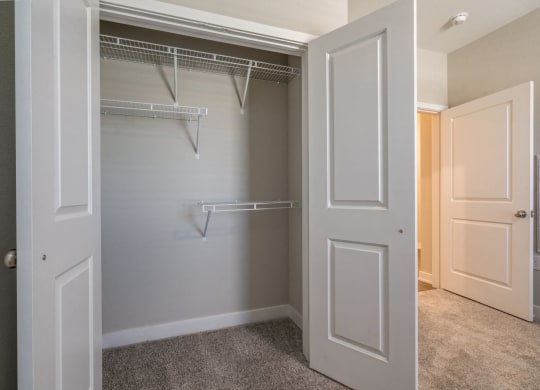 Bedroom with Closet Space (Luxury Floor Plan) at Emerald Creek Apartments, Greenville