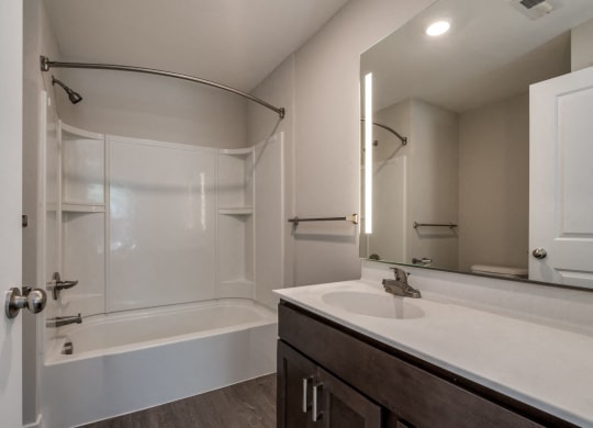 Bathroom (Luxury Floor Plan) at Emerald Creek Apartments, Greenville