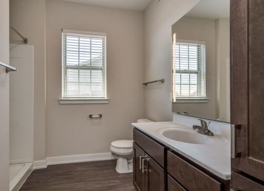 Bathroom (Prestige Floor Plan) at Emerald Creek Apartments, Greenville