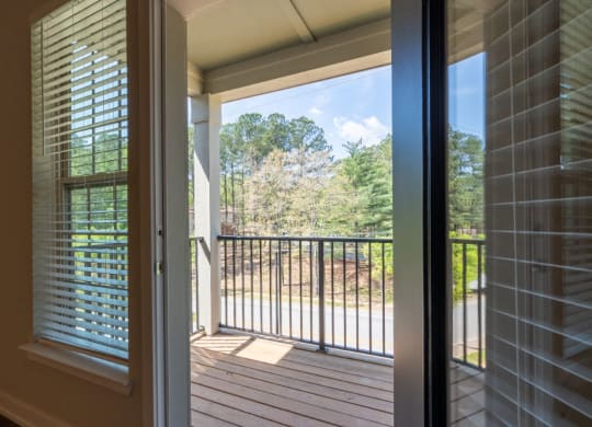 Balcony (Elite Floor Plan) at Emerald Creek Apartments, Greenville