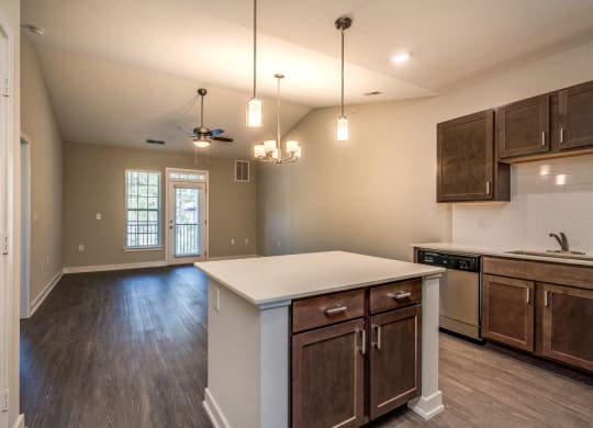 Kitchen & Living Room (Premier Floor Plan) at Emerald Creek Apartments, Greenville