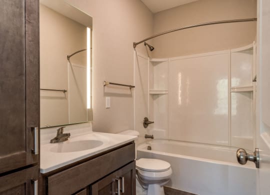 Bathroom (Premier Floor Plan) at Emerald Creek Apartments, Greenville