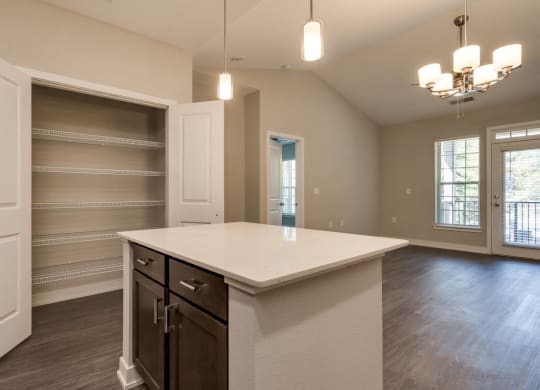 Kitchen Pantry Storage (Premier Floor Plan) at Emerald Creek Apartments, Greenville