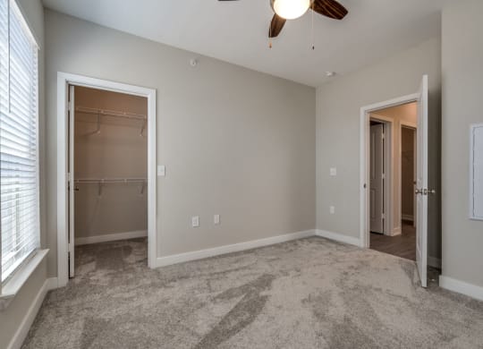 Bedroom with Walk-In Closet (Premier Floor Plan) at Emerald Creek Apartments, Greenville