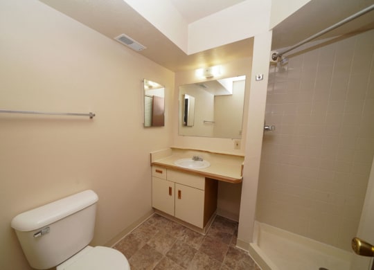 Second Bathroom with Shower at Hurwich Farms Apartments in South Bend, IN