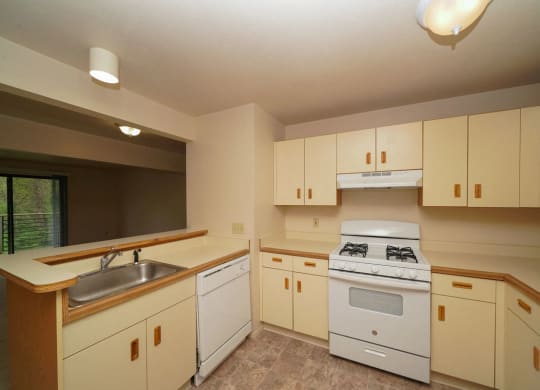 Stainless Steel Sink With Faucet In Kitchen at Hurwich Farms Apartments, South Bend, 46628