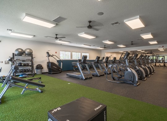 a large fitness room with cardio equipment and artificial grassat The Harbours Apartments, Michigan, 48038