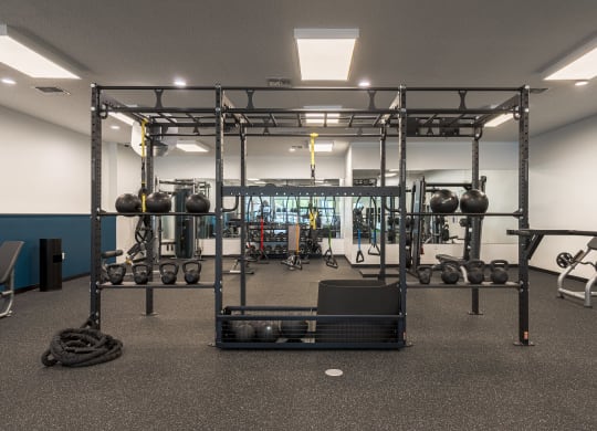 a view of the weights area in the gym at The Harbours Apartments, Clinton Twp, 48038