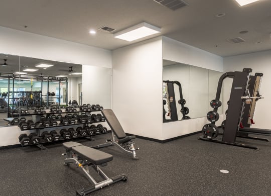 a spacious fitness room with free weights and mirrorsat The Harbours Apartments, Clinton Twp