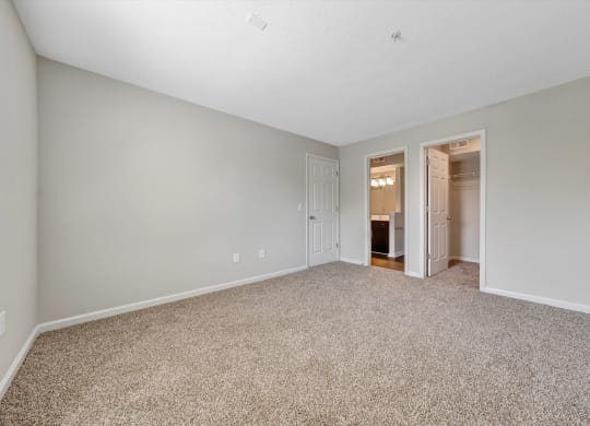 a bedroom with gray walls and carpet at Sunscape Apartments, Virginia