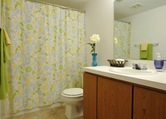 Bathroom at The Harbours Apartments, Clinton Twp