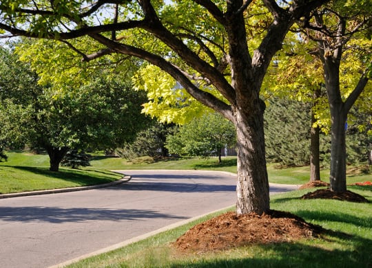 Entrance at The Landings, Michigan
