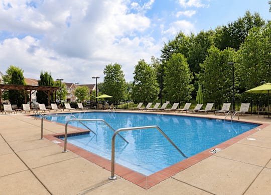 A large outdoor swimming pool surrounded by trees and lounge chairs.