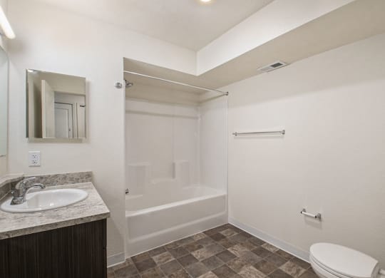 primary bathroom at Andover Pointe Apartment Homes, NE, 68138