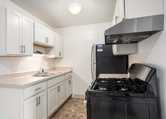 upgraded kitchen with gas stove at Apple Ridge Apartments, Michigan, 49534