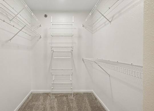 A white walk-in closet with a carpeted floor and shelving.