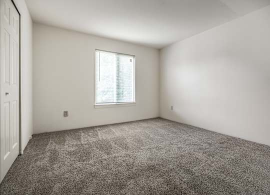 A room with a carpeted floor and a window