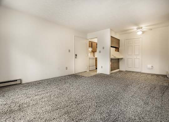 A room with a grey carpet and white walls