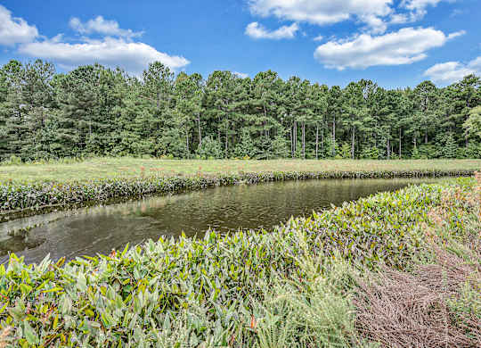 a small body of water surrounded by grass and trees at Avellan Springs Apartments, Morrisville, NC, 27560