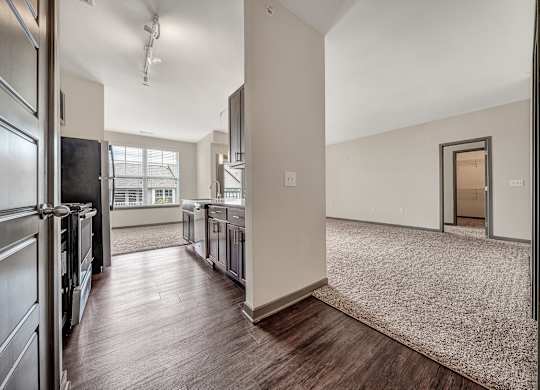 an open kitchen and living room with stainless steel appliances and wood flooring at Avellan Springs Apartments, North Carolina