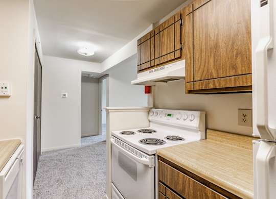 A kitchen with a stove top oven and a refrigerator