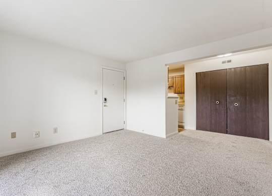 A room with a white door and a brown wardrobe