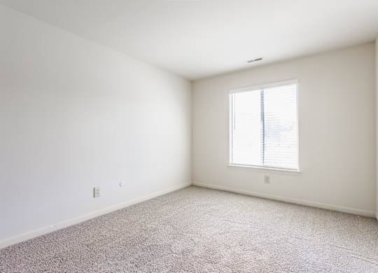 A white room with a window and carpeted floor