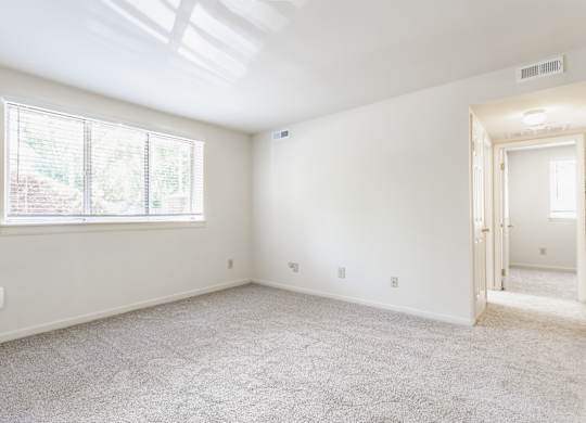 A room with a carpeted floor and a window letting in natural light