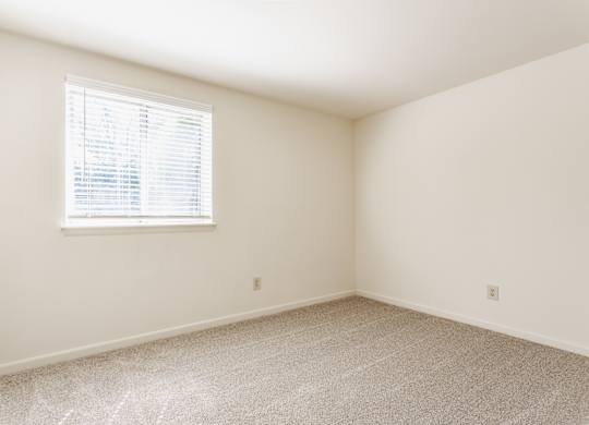A room with a window and carpeted floor