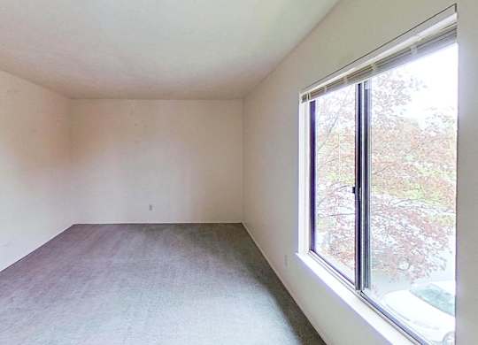 A bedroom with a large window and plush carpeting at Briarwood Apartments in Benton Harbor, MI
