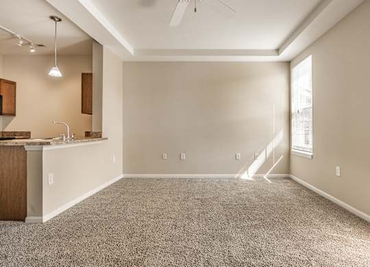 A spacious room with a kitchen area and a carpeted floor