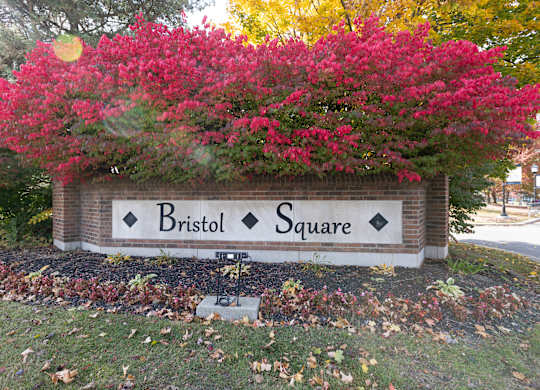 the sign in front of a tree with pink flowers
