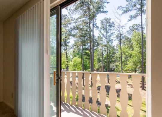 Balcony (Orchid View)  at Brook Pines, Columbia, 29210