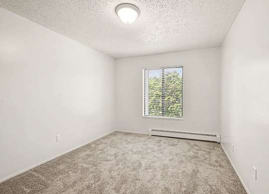 A room with a window and a carpeted floor.