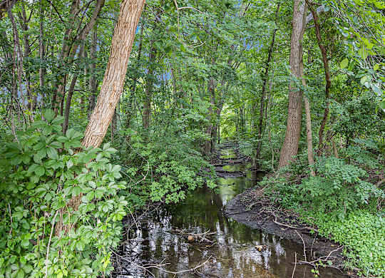 A small stream flows through a lush green area at Byron Lakes Apartments, Byron Center, Michigan