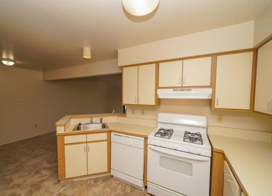 Kitchen with Dishwasher and Gas Range at Canal Club Apartments in Lansing, MI