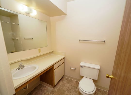 Bathroom with Ample Counter Space at Canal Club Apartments in Lansing, MI