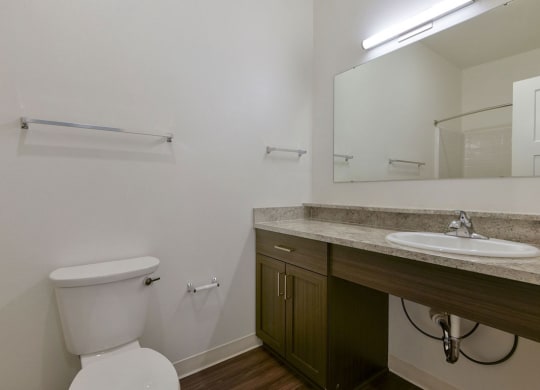 Functional Master Bathroom with Lots of Counter Space at Chase Creek Apartment Homes, Huntsville, AL, 35811