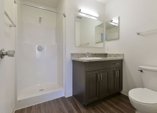 a bathroom with a toilet sink and showerat Chase Creek Apartment Homes, Huntsville