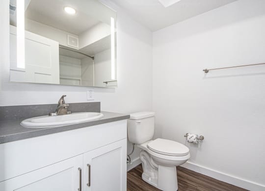 Master Bath at The Crossings Apartments, Grand Rapids, Michigan